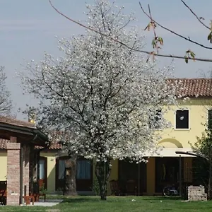 Particolari Del Brenta Apartment